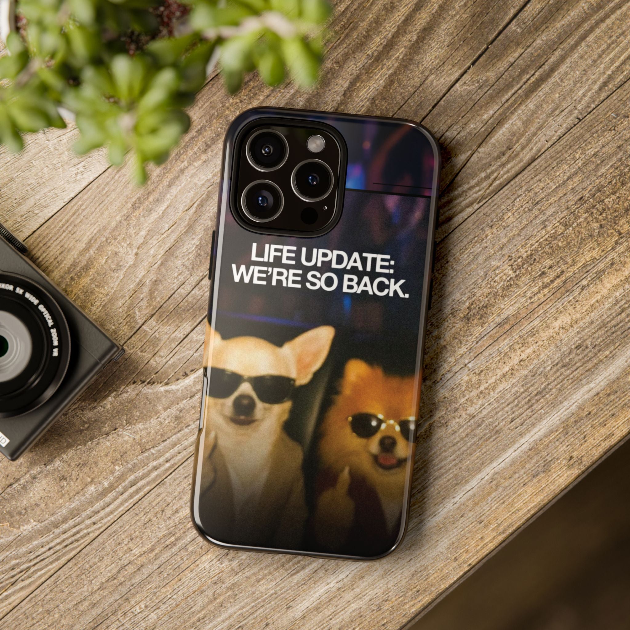 Life Update We're So Back Phone Cas