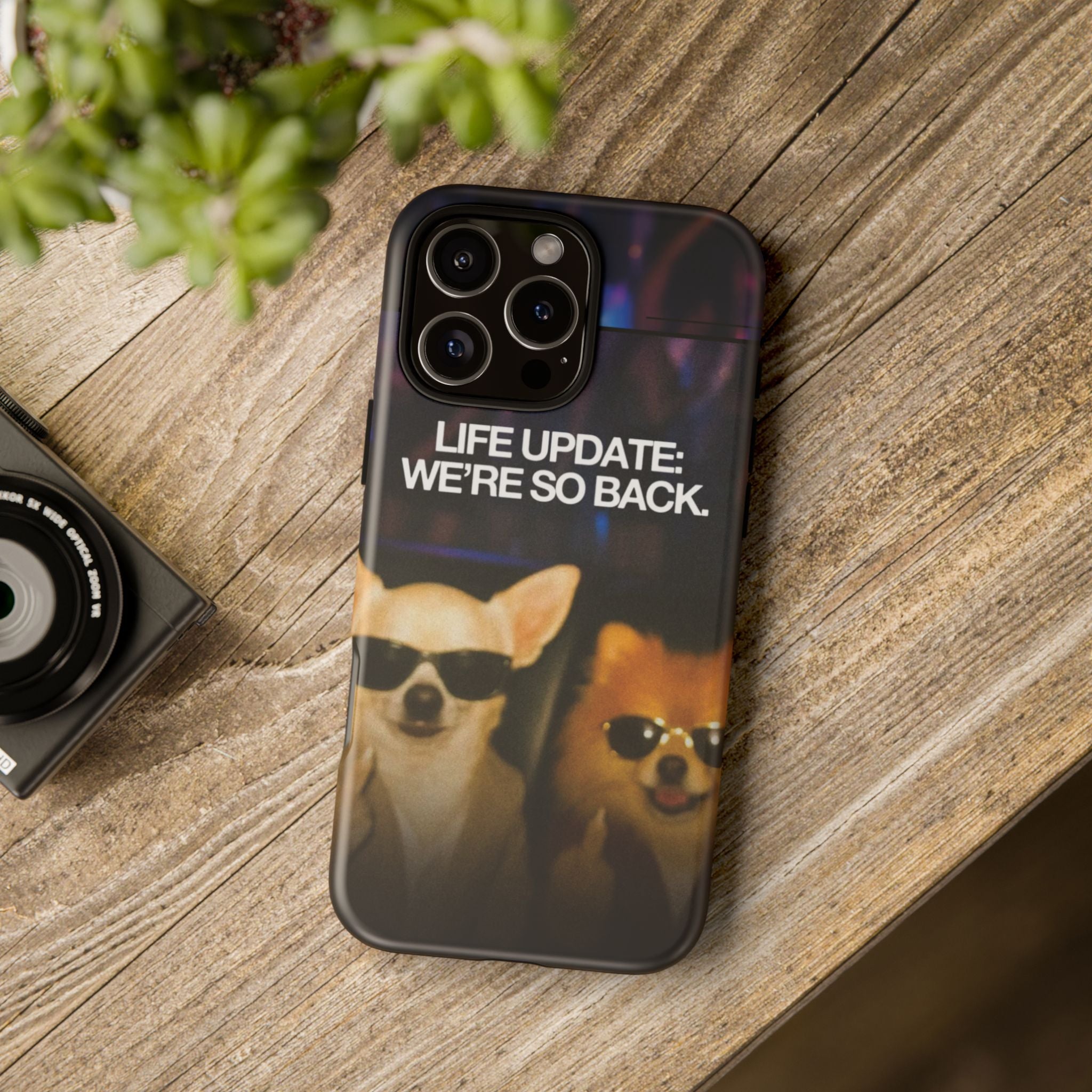 Life Update We're So Back Phone Cas